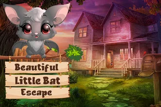 image bg Beautiful Little Bat Escape