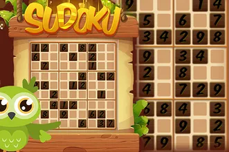 image bg Sudoku 4 in 1